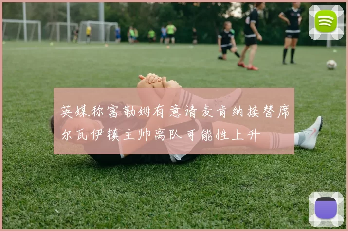 英媒称富勒姆有意请麦肯纳接替席尔瓦伊镇主帅离队可能性上升
