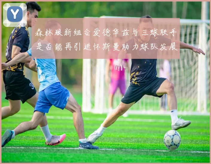 森林狼新组合爱德华兹与三球联手是否能再引进怀斯曼助力球队发展
