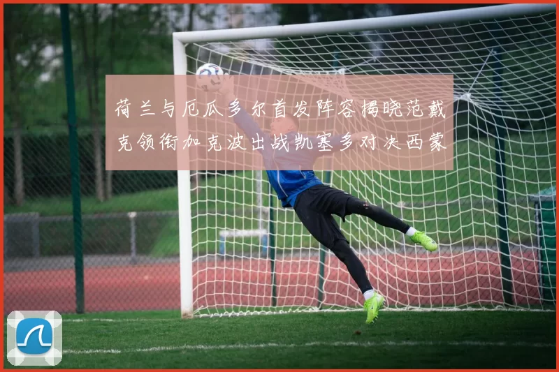 荷兰与厄瓜多尔首发阵容揭晓范戴克领衔加克波出战凯塞多对决西蒙斯