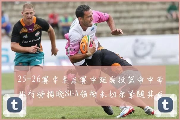 25-26赛季季后赛中距离投篮命中率排行榜揭晓SGA领衔米切尔紧随其后哈登位列第五