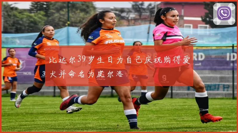 比达尔39岁生日为自己庆祝购得爱犬并命名为皮尔洛