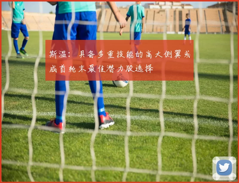 斯温：具备多重技能的高大侧翼或成首轮末最佳潜力股选择
